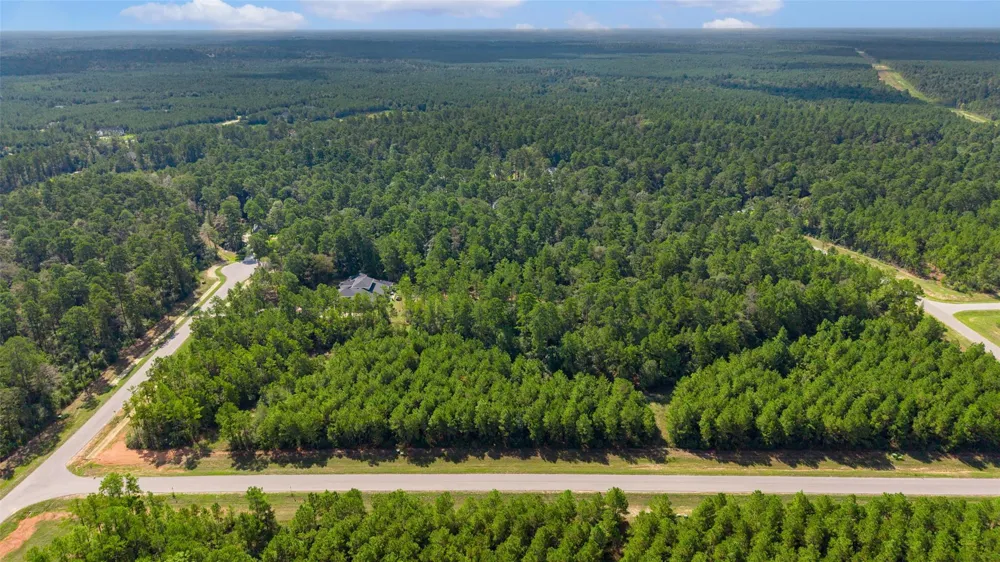 12920 Spacewood Pass Willis, TX 77378