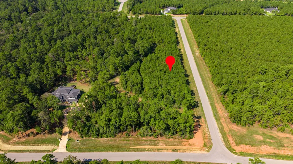 12920 Spacewood Pass Willis, TX 77378