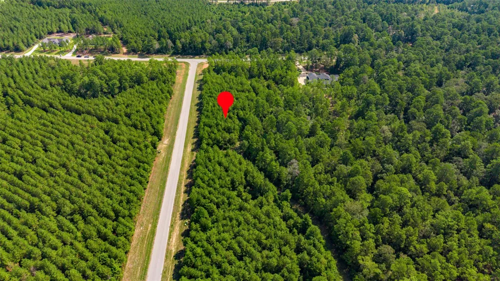 12920 Spacewood Pass Willis, TX 77378