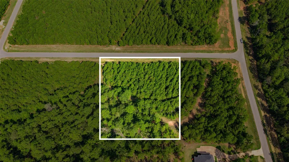 12920 Spacewood Pass Willis, TX 77378