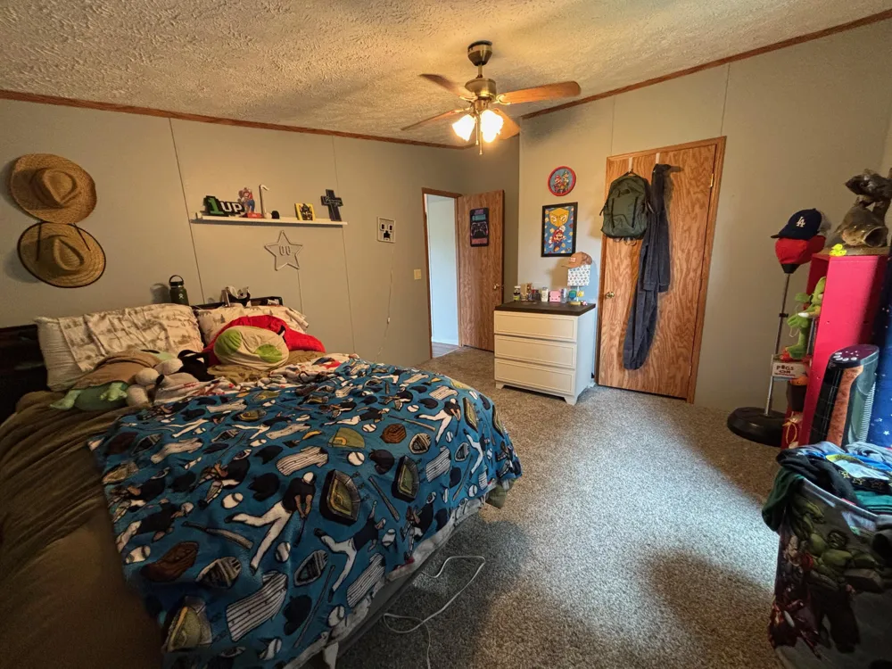 2905 E Jackson Road Crystal Township, MI 49459