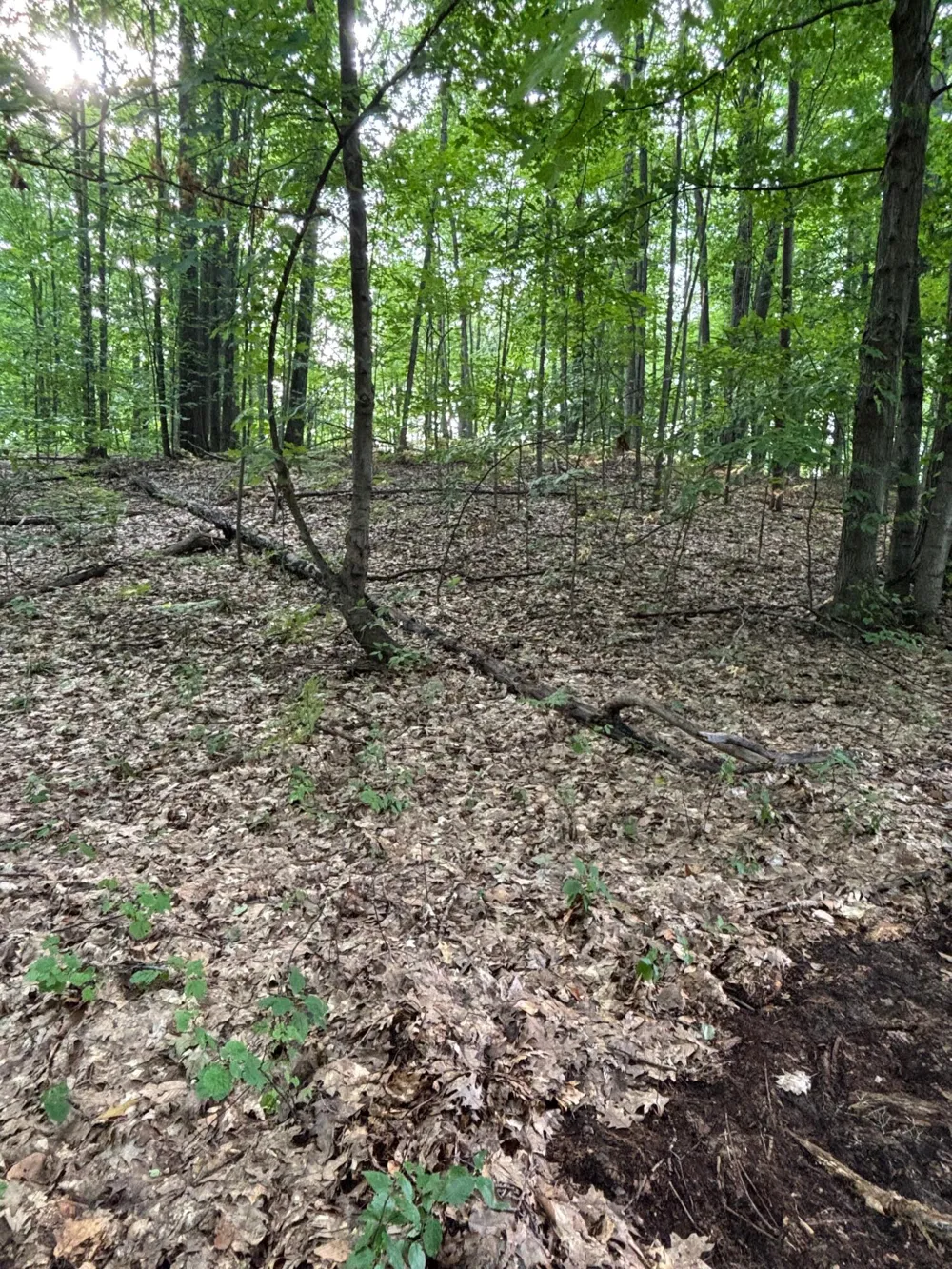 2905 E Jackson Road Crystal Township, MI 49459