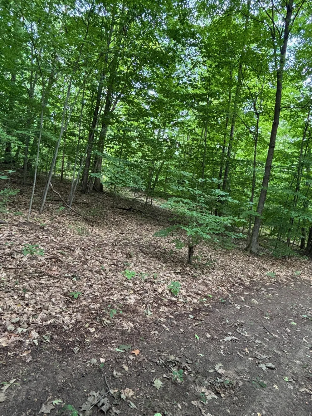 2905 E Jackson Road Crystal Township, MI 49459