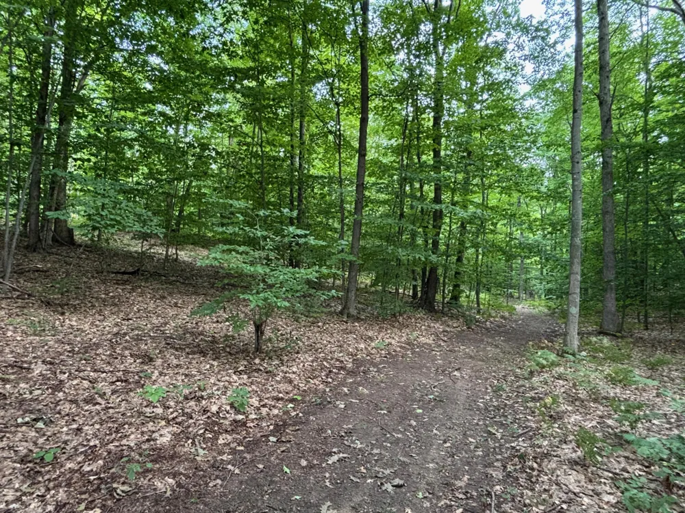 2905 E Jackson Road Crystal Township, MI 49459