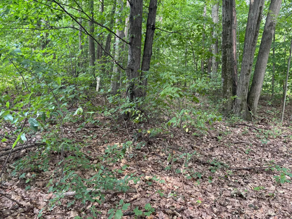 2905 E Jackson Road Crystal Township, MI 49459