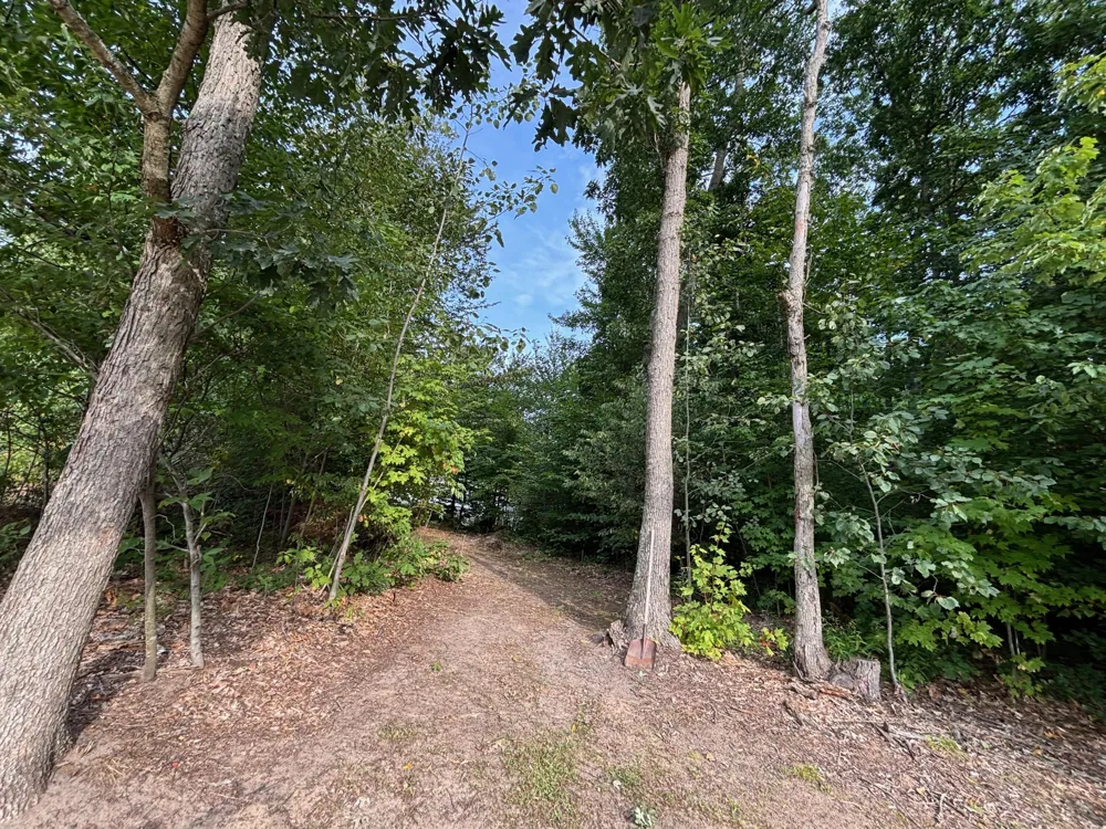 2905 E Jackson Road Crystal Township, MI 49459