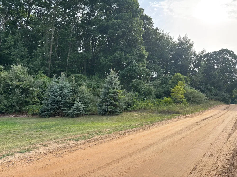 2905 E Jackson Road Crystal Township, MI 49459