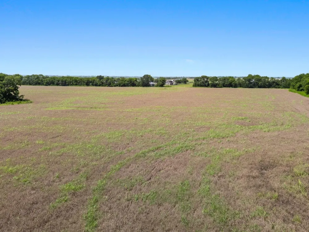 12380 County Road 633 Blue Ridge, TX 75424