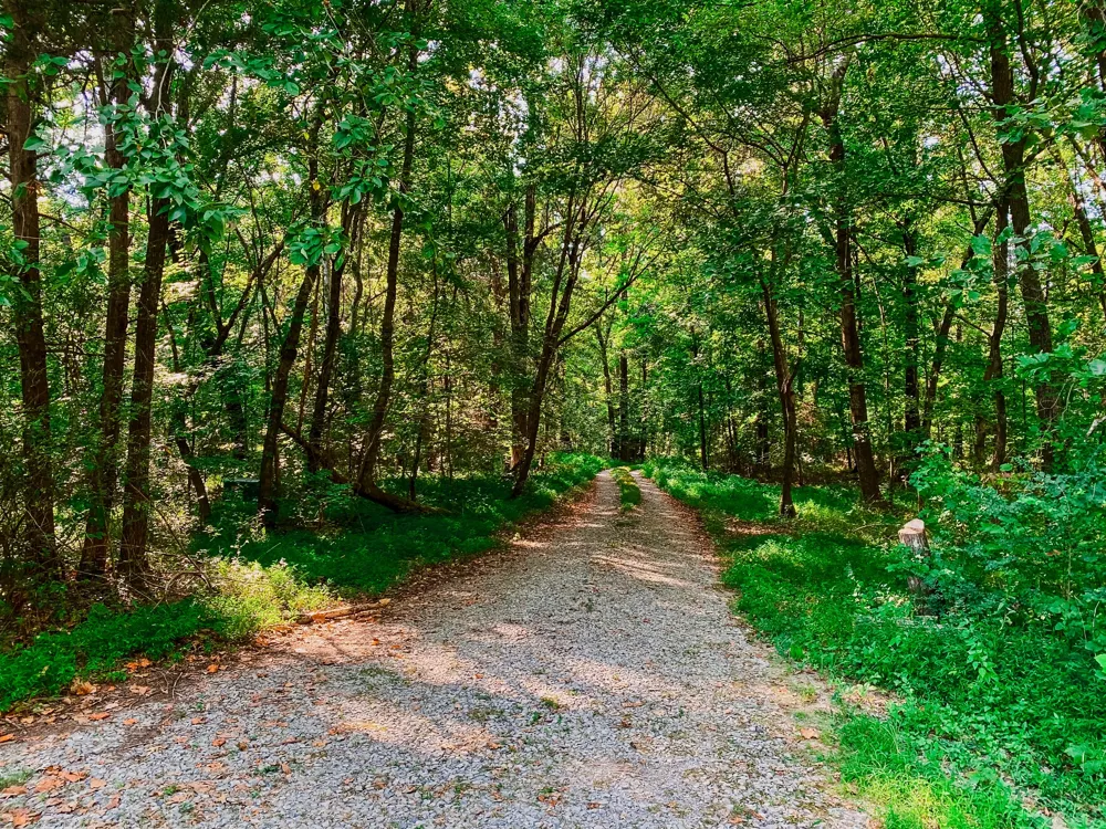 1006 Clearview Pt Cottontown, TN 37048