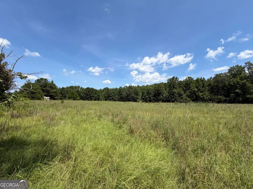 7.65 ACRES Baker Rd Shiloh, GA 31826