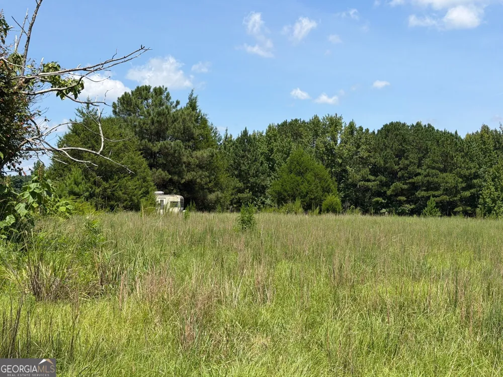 7.65 ACRES Baker Rd Shiloh, GA 31826