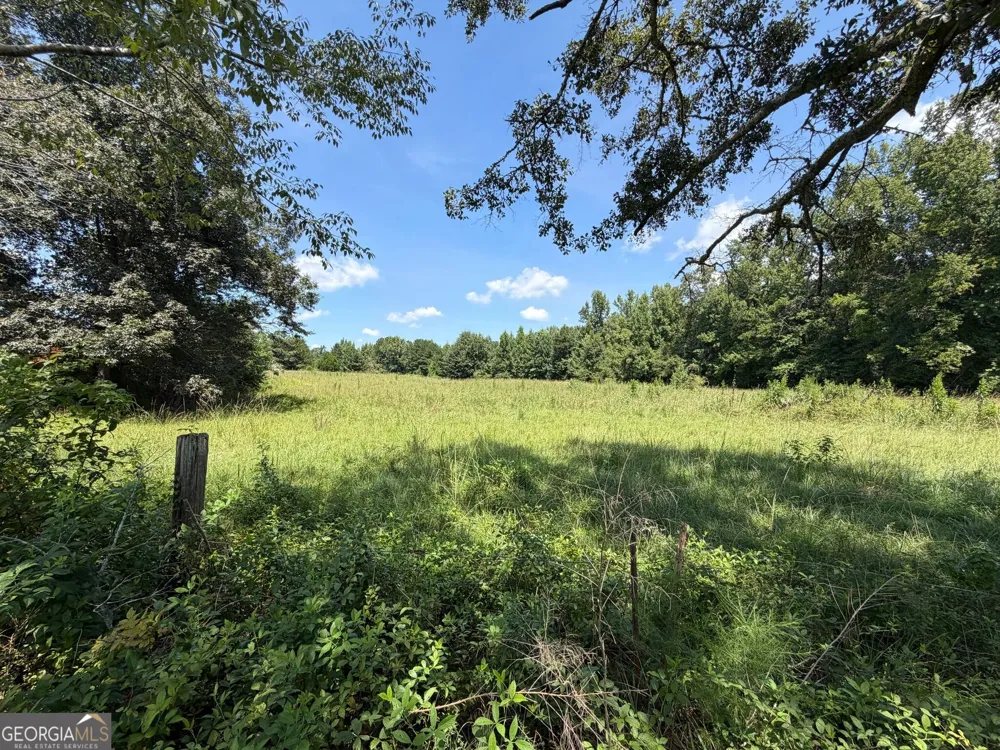 7.65 ACRES Baker Rd Shiloh, GA 31826