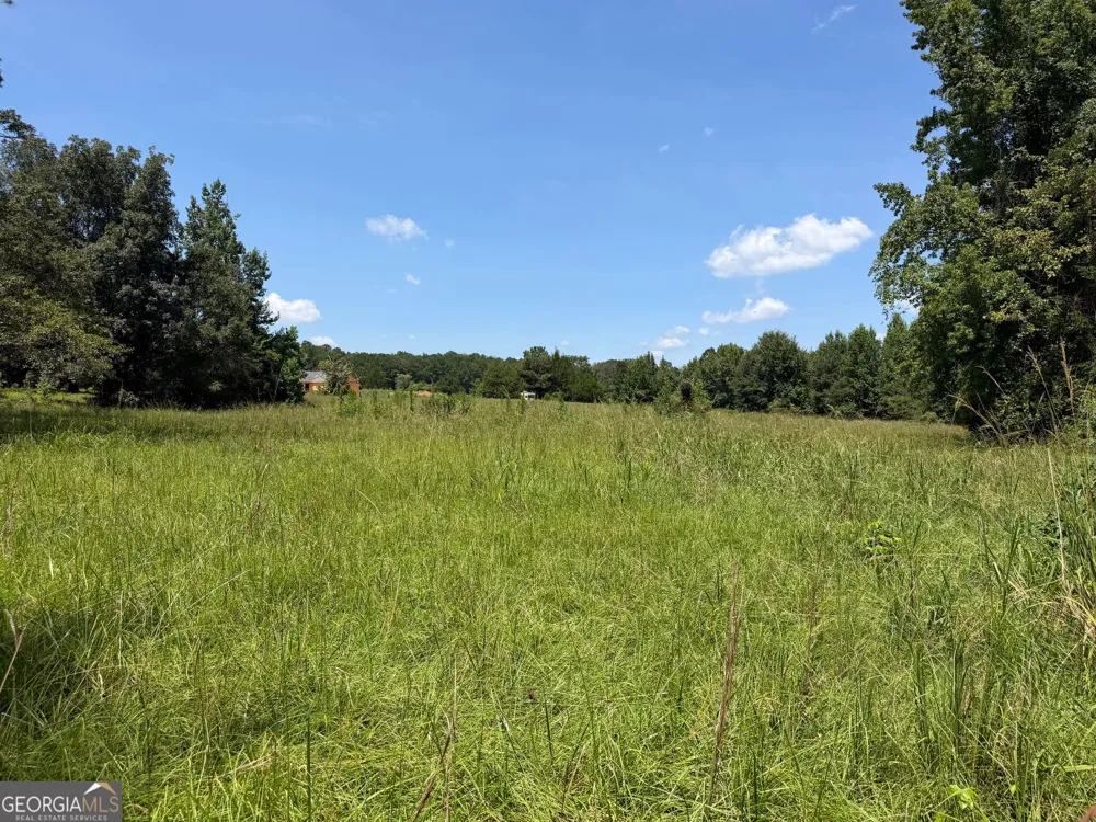 7.65 ACRES Baker Rd Shiloh, GA 31826