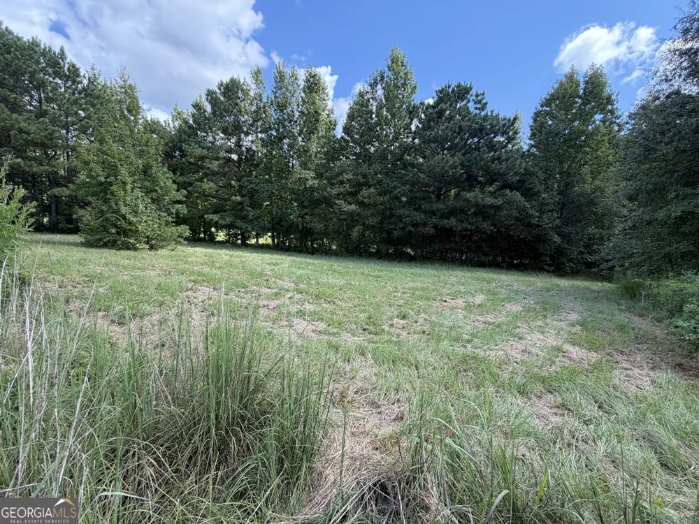 7.65 ACRES Baker Rd Shiloh, GA 31826