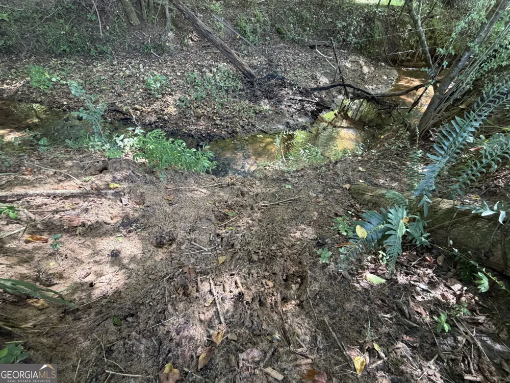 7.65 ACRES Baker Rd Shiloh, GA 31826