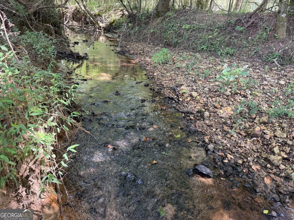 7.65 ACRES Baker Rd Shiloh, GA 31826