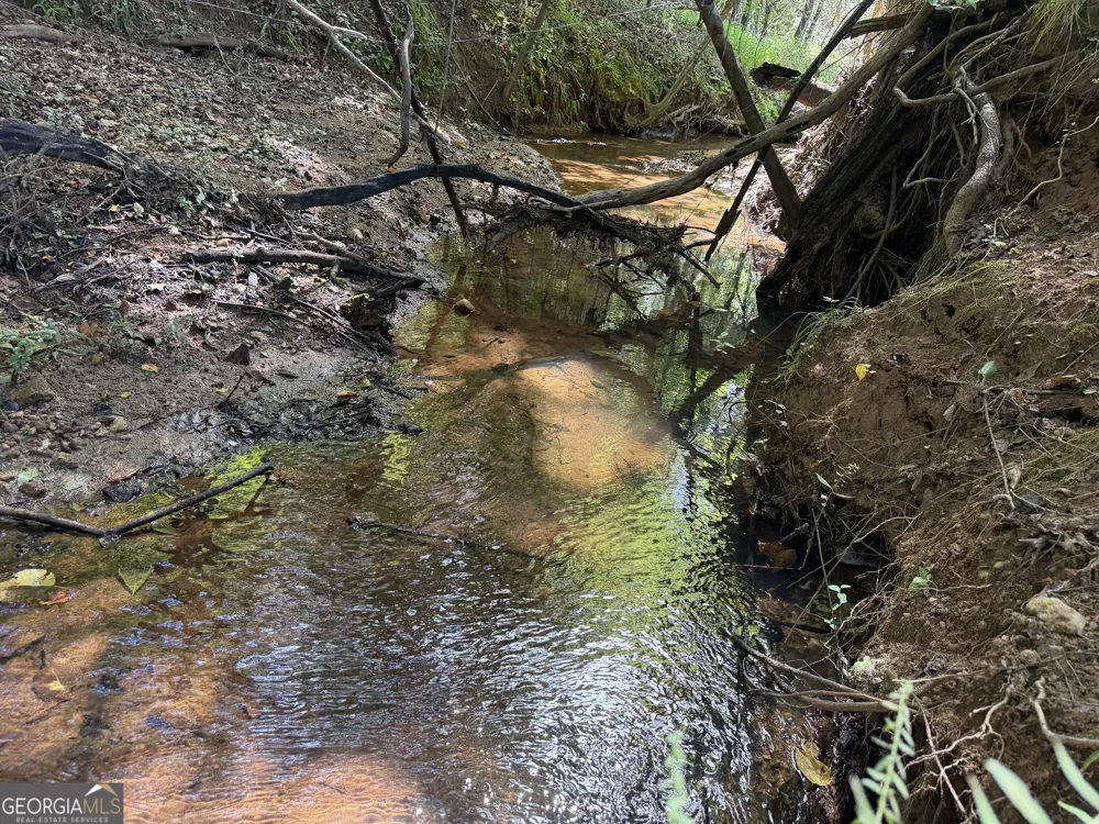 7.65 ACRES Baker Rd Shiloh, GA 31826