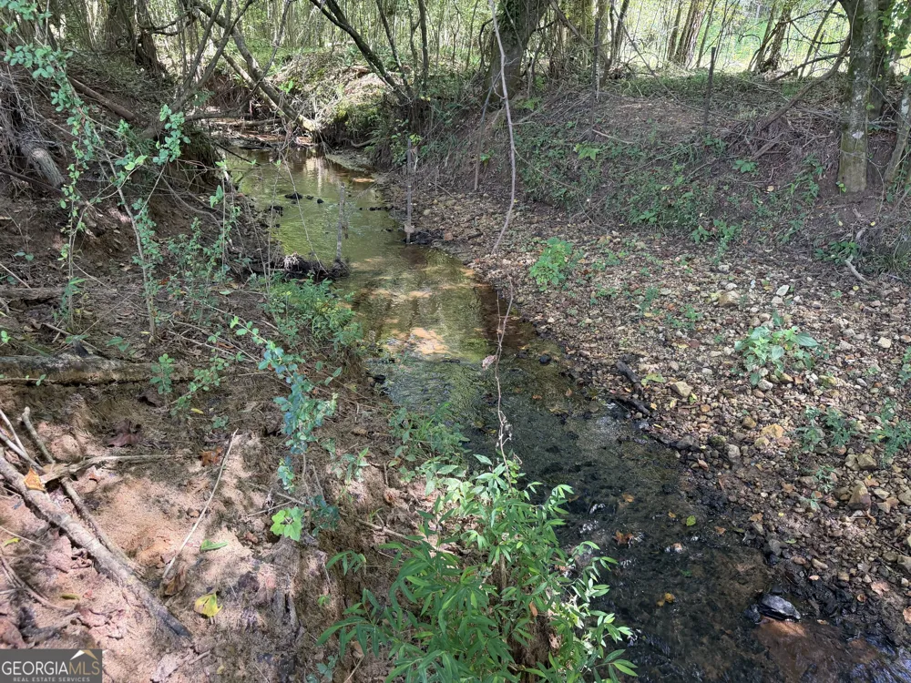 7.65 ACRES Baker Rd Shiloh, GA 31826