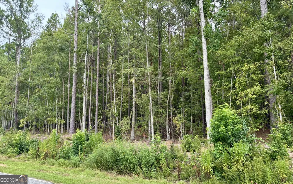 128 Honeysuckle RD NE Milledgeville, GA 31061