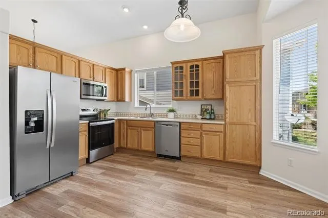 10747 Towerbridge Circle Highlands Ranch, CO 80130