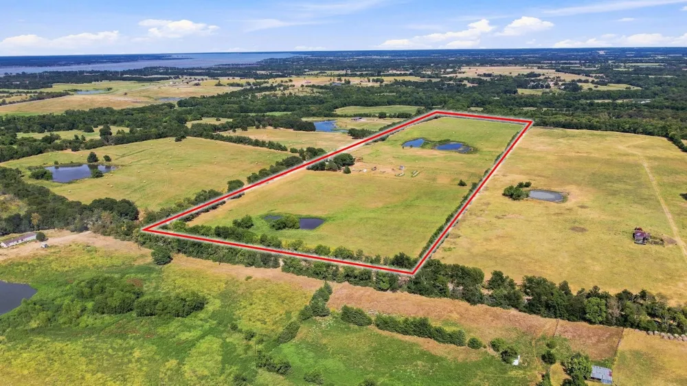 878 County Road 2900 Dodd City, TX 75438