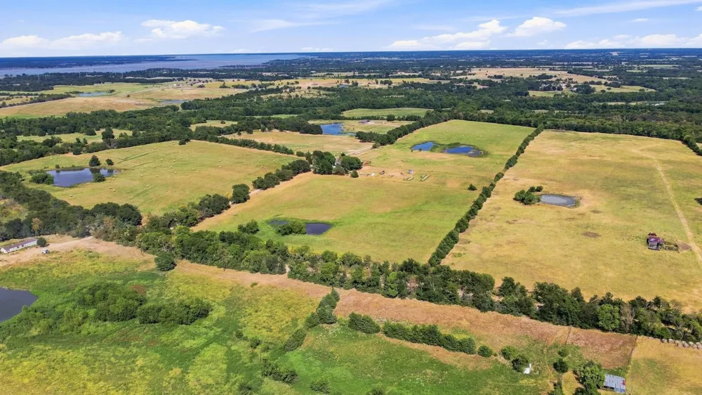878 County Road 2900 Dodd City, TX 75438