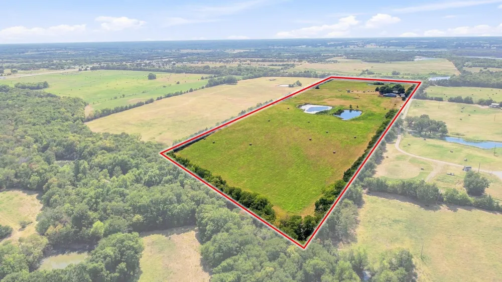 878 County Road 2900 Dodd City, TX 75438