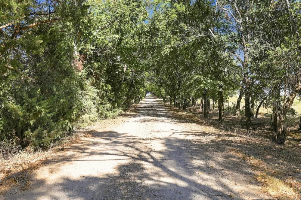 878 County Road 2900 Dodd City, TX 75438