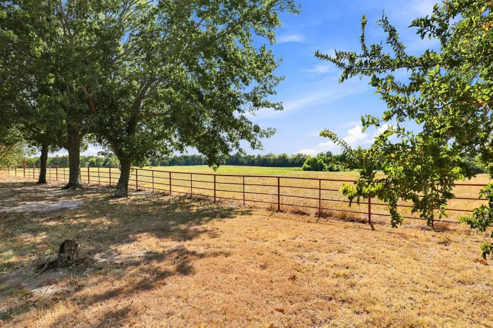 878 County Road 2900 Dodd City, TX 75438