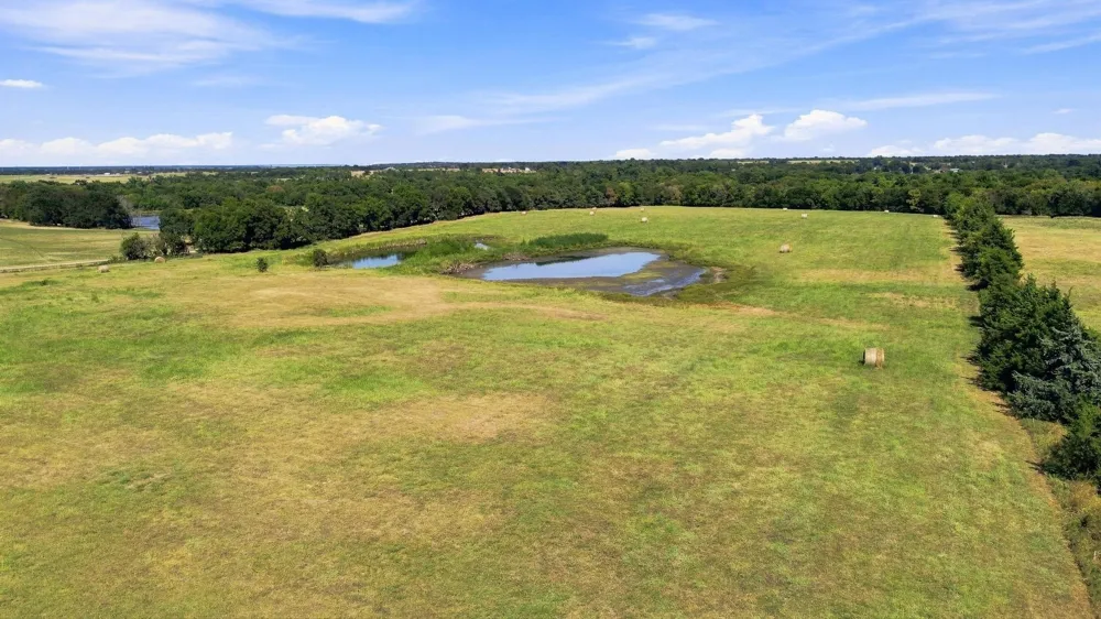 878 County Road 2900 Dodd City, TX 75438