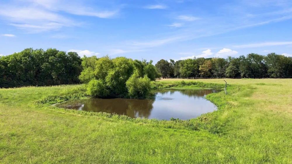 878 County Road 2900 Dodd City, TX 75438