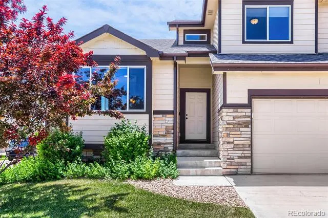 1519 New Season Drive Windsor, CO 80550