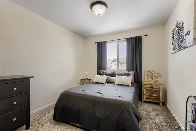 1519 New Season Drive Windsor, CO 80550