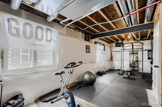 1519 New Season Drive Windsor, CO 80550