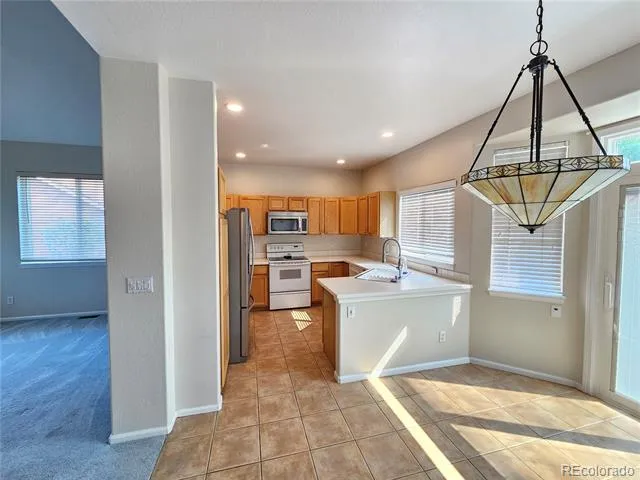 10458 Panther Trace Littleton, CO 80124