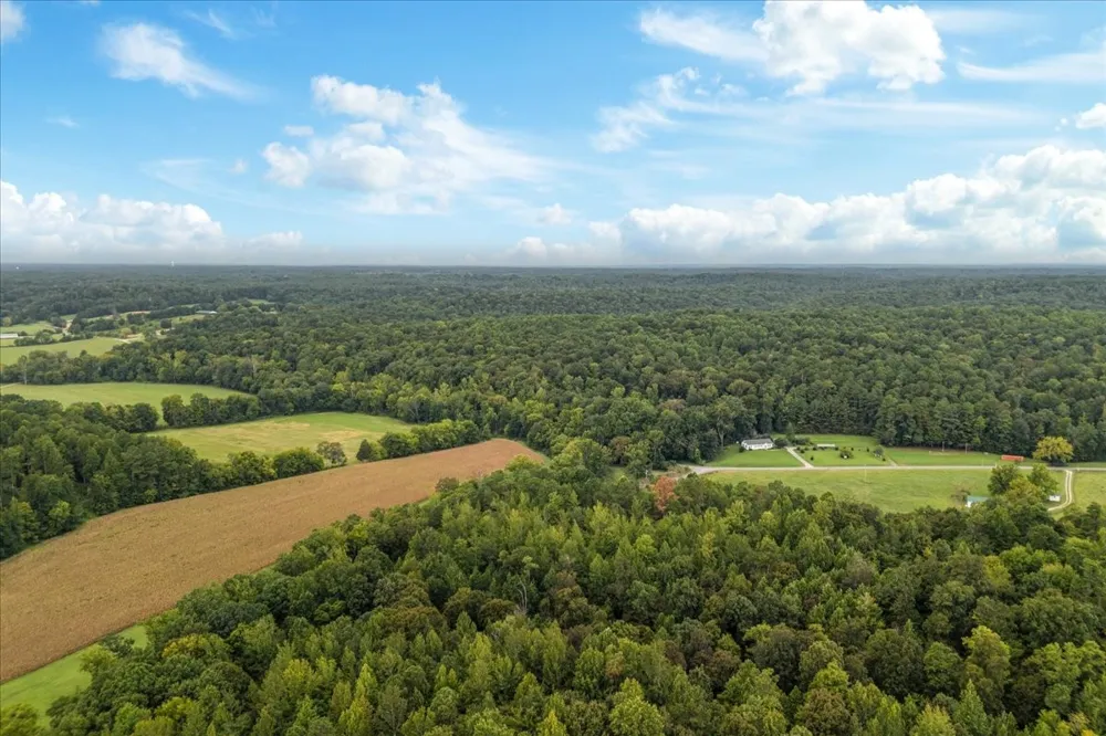 0 Little Blue Ck Rd Mc Ewen, TN 37101
