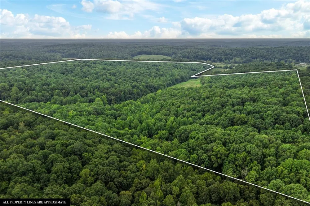 0 Little Blue Ck Rd Mc Ewen, TN 37101