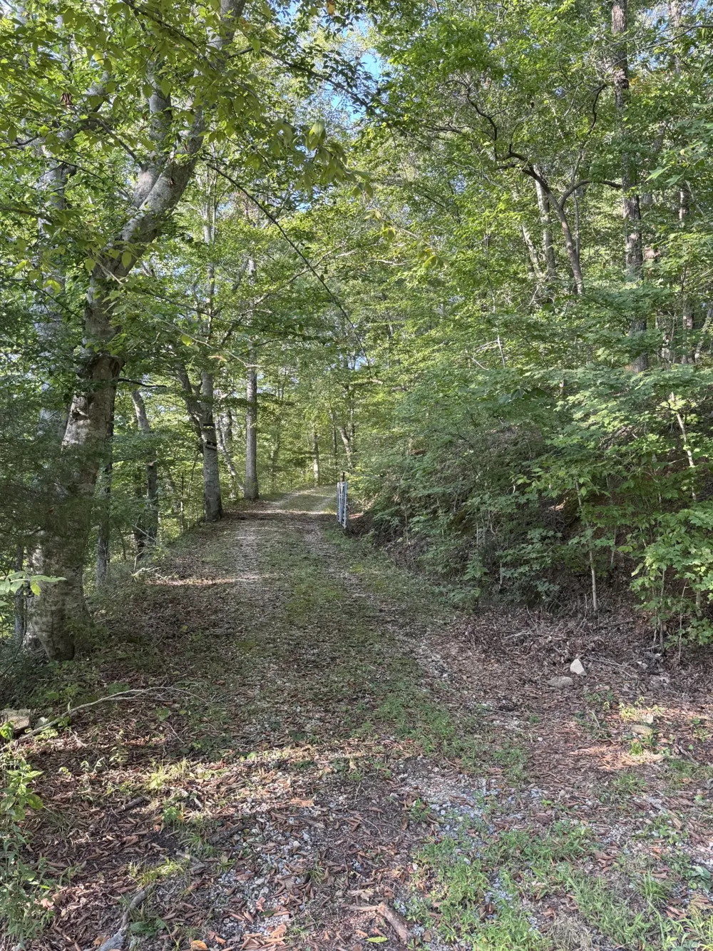 0 Little Blue Ck Rd Mc Ewen, TN 37101