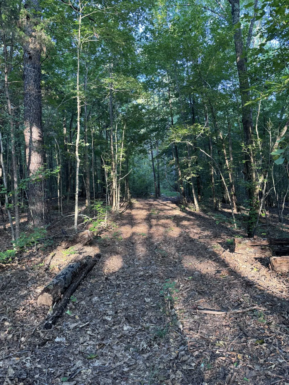 0 Little Blue Ck Rd Mc Ewen, TN 37101