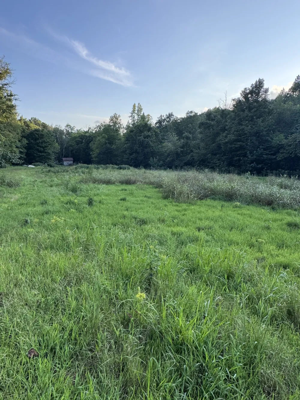 0 Little Blue Ck Rd Mc Ewen, TN 37101