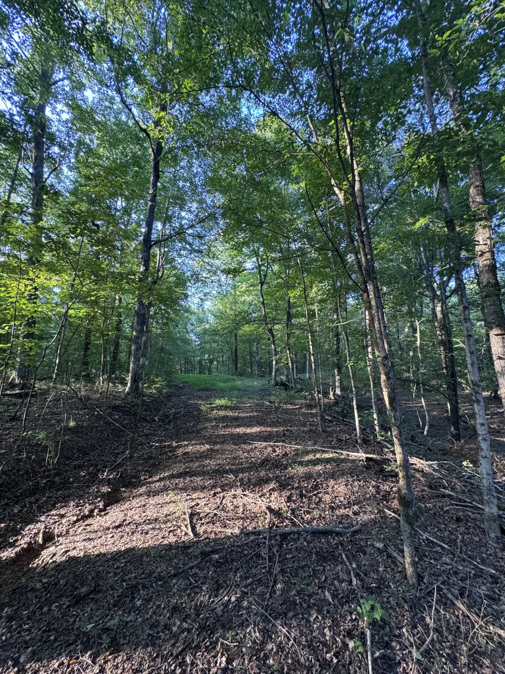 0 Little Blue Ck Rd Mc Ewen, TN 37101