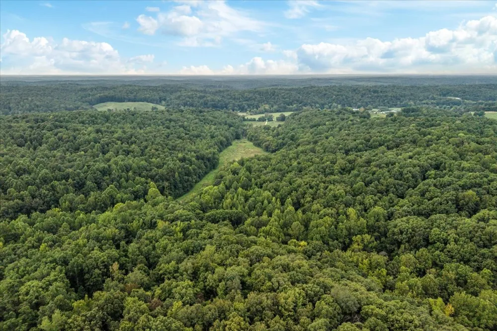 0 Little Blue Ck Rd Mc Ewen, TN 37101