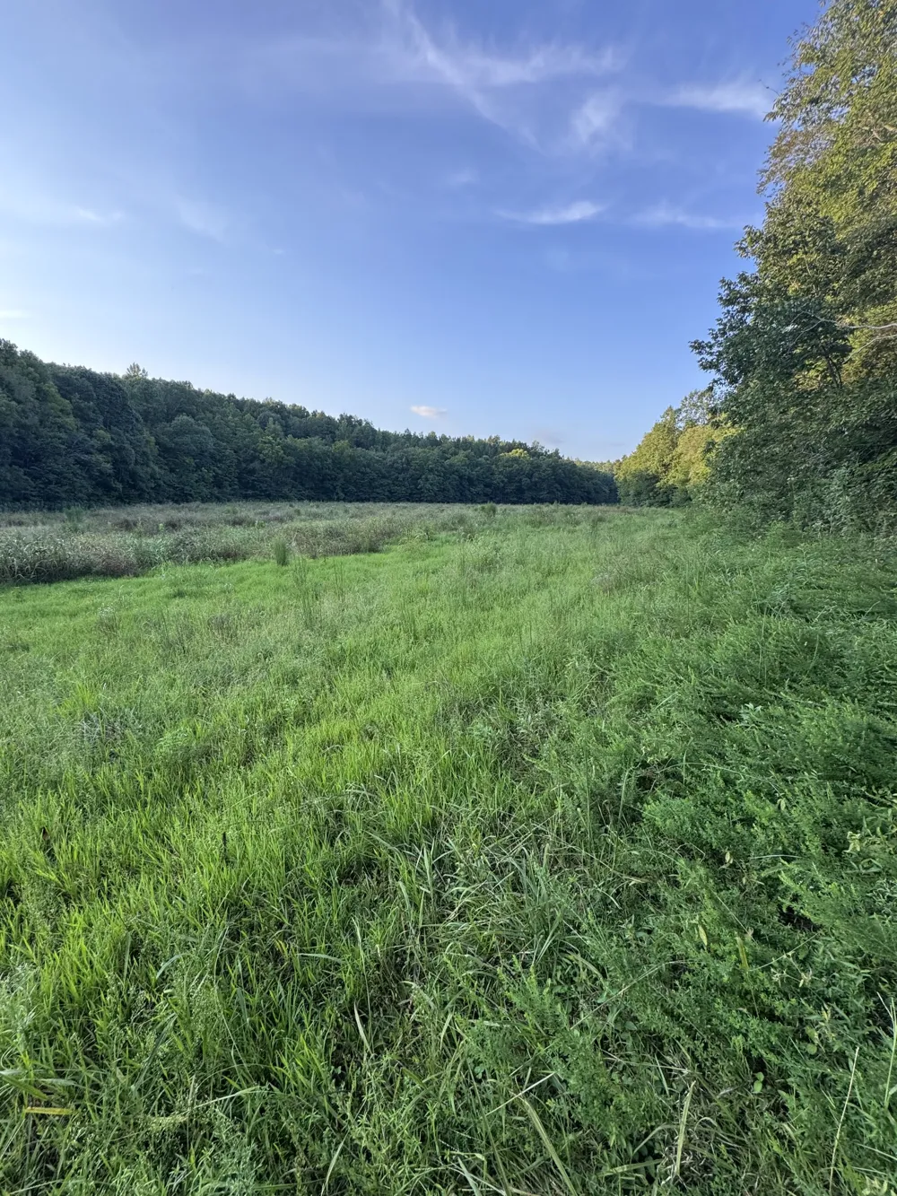 0 Little Blue Ck Rd Mc Ewen, TN 37101