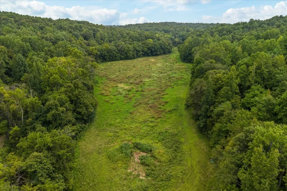 0 Little Blue Ck Rd Mc Ewen, TN 37101