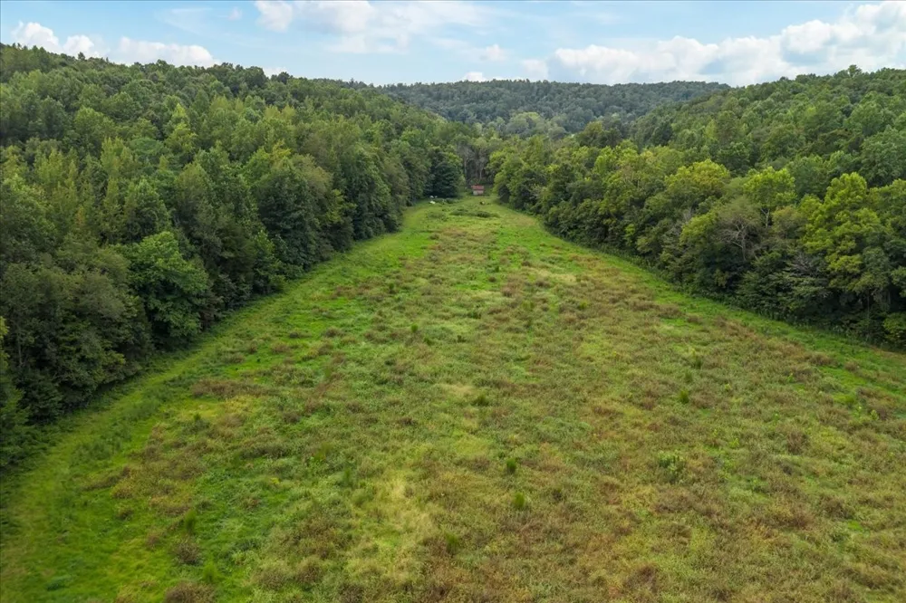 0 Little Blue Ck Rd Mc Ewen, TN 37101