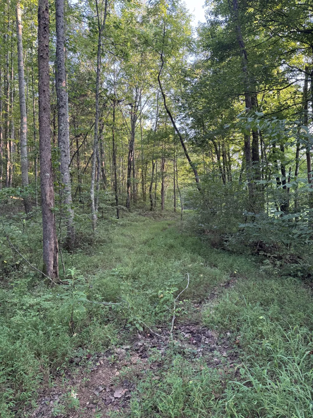 0 Little Blue Ck Rd Mc Ewen, TN 37101