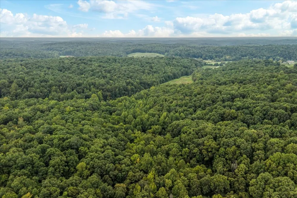 0 Little Blue Ck Rd Mc Ewen, TN 37101