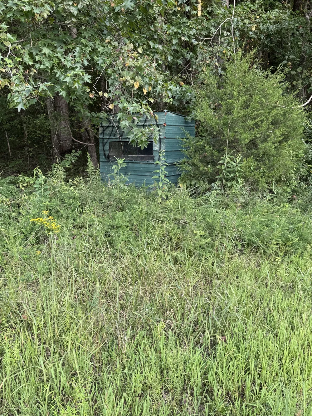 0 Little Blue Ck Rd Mc Ewen, TN 37101