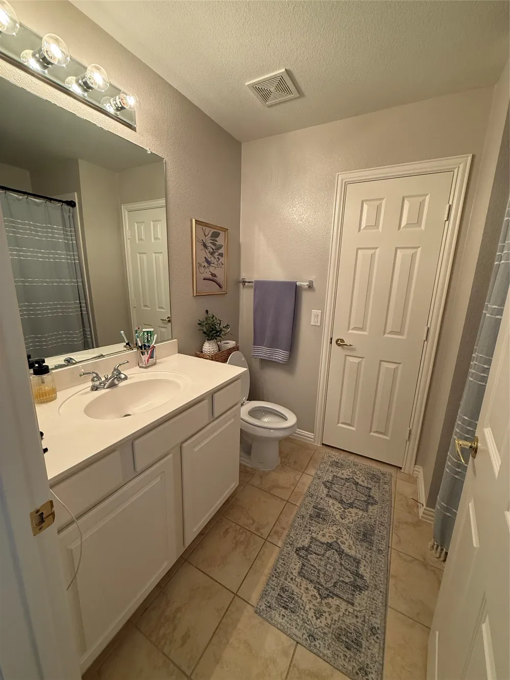 454 Long Cove Drive Fairview, TX 75069