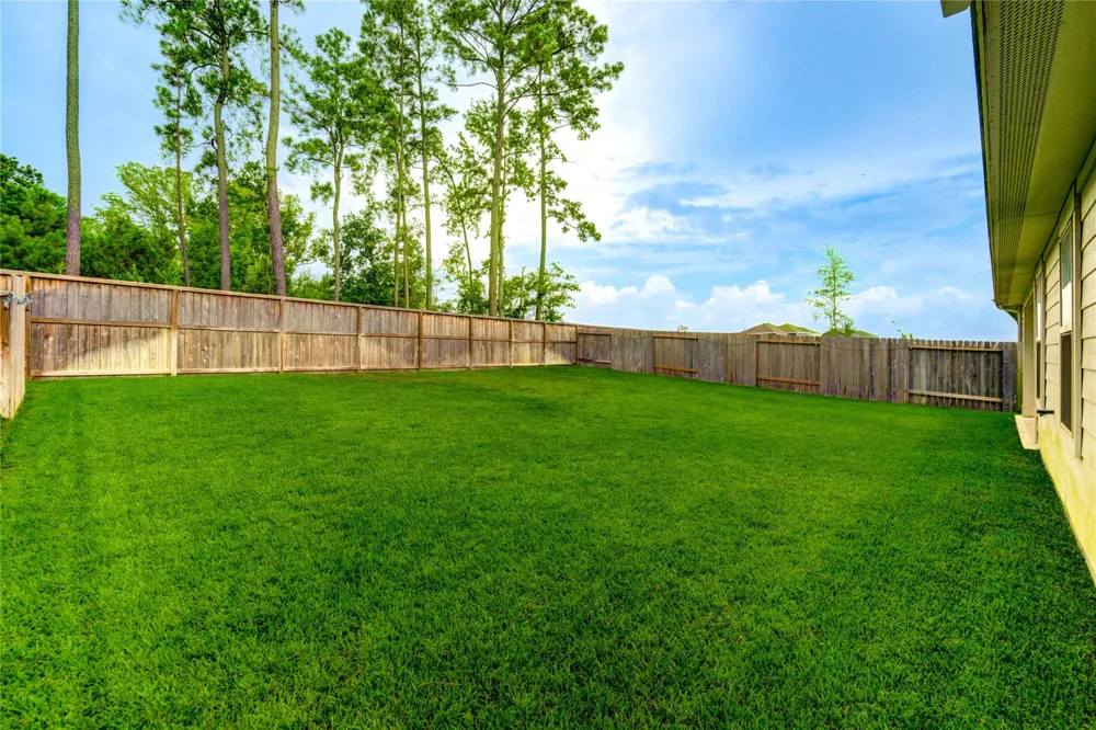 21577 Starry Night Drive New Caney, TX 77357